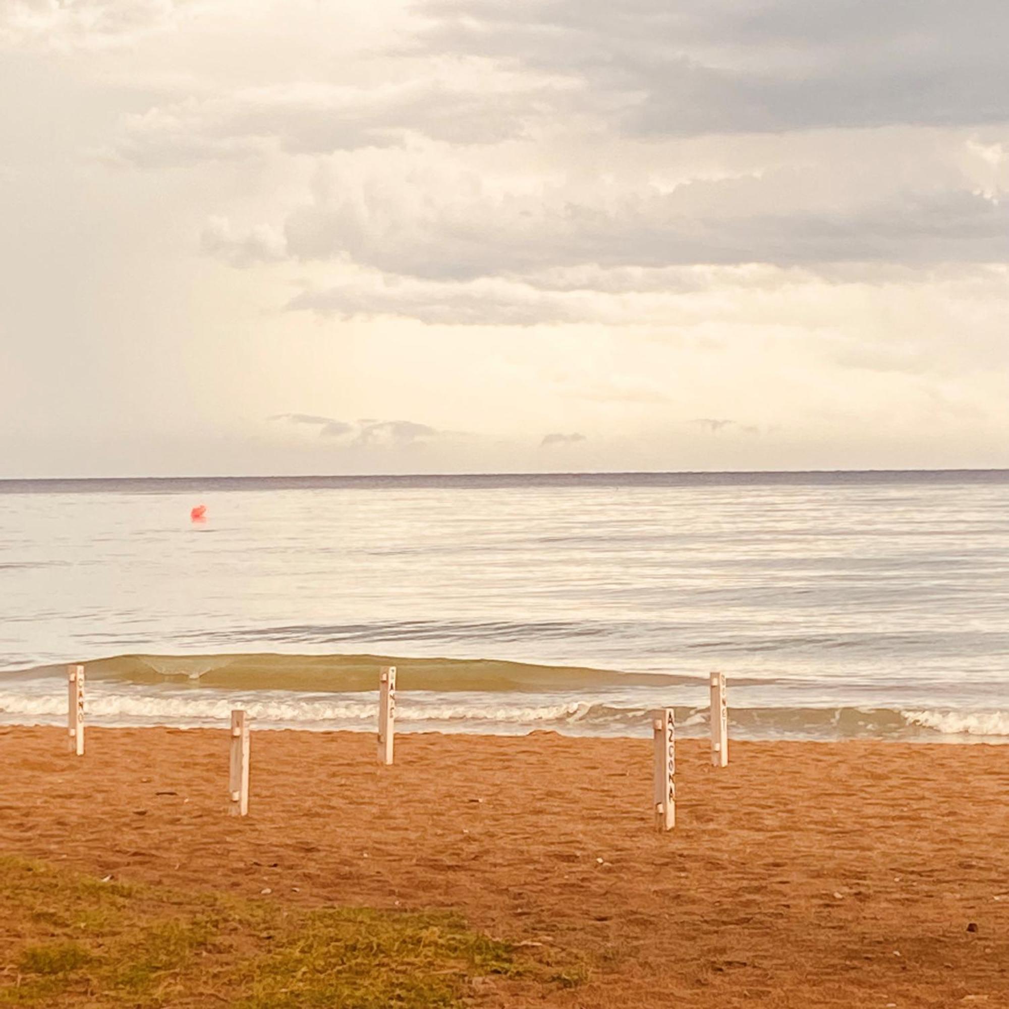 Acogedor Y Amplio Apartamento Familiar A Pie De Playa كالافيل المظهر الخارجي الصورة